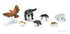 D&D Icons of the Realms Wild Shape & Polymorph Set 2